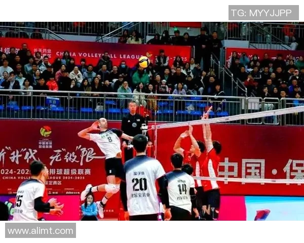 上海排球队的节奏揭秘：从训练到比赛的精彩瞬间与背后故事