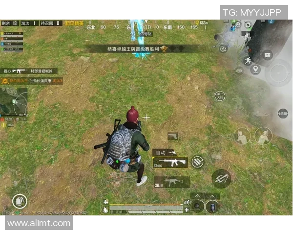 和平精英专题：深入探讨WE战队在游戏中的卓越表现与团队精神