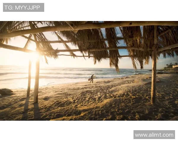 极限运动战术解析：武汉极限运动队的创新进攻体系与战术布局探讨