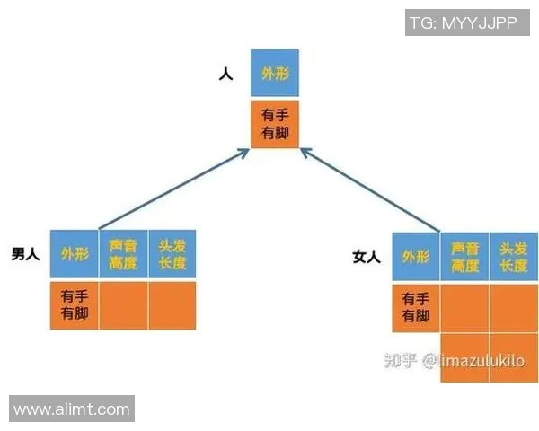成都网球队节奏对比分析揭示战术变化与球员表现的深层关系